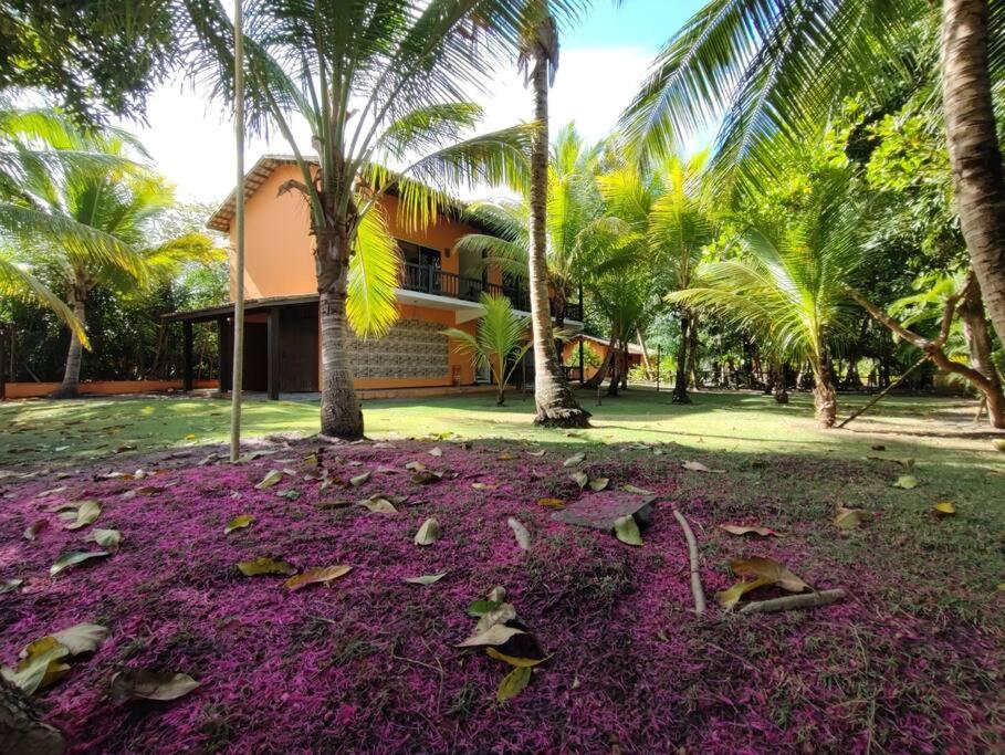 a park with purple flowers and palm trees and a building at Suite 1 in Marau