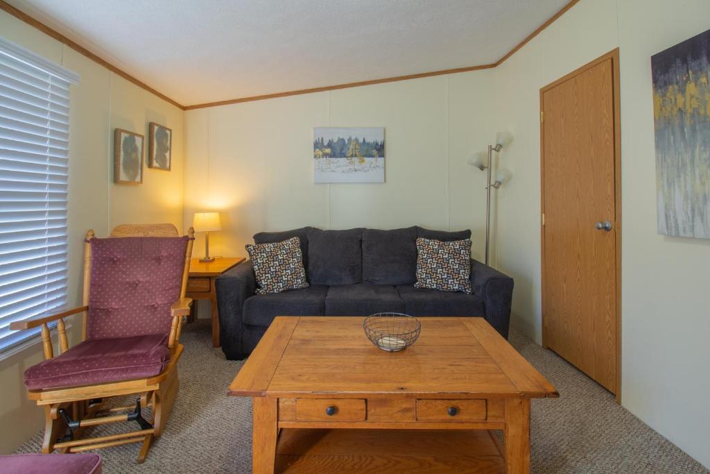 Stay In Ohiopyle near the GAP Trail - Ohiopyle, PA - Appartement De Deux Chambres