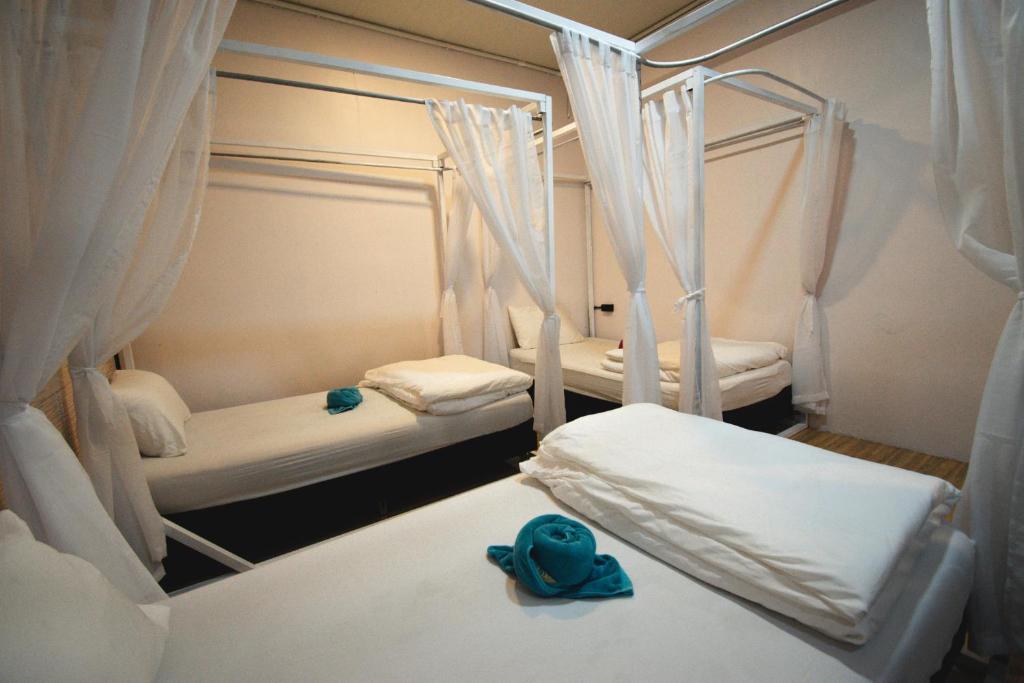 Postel nebo postele na pokoji v ubytování Chillax Khaosok Hostel - SHA Certified