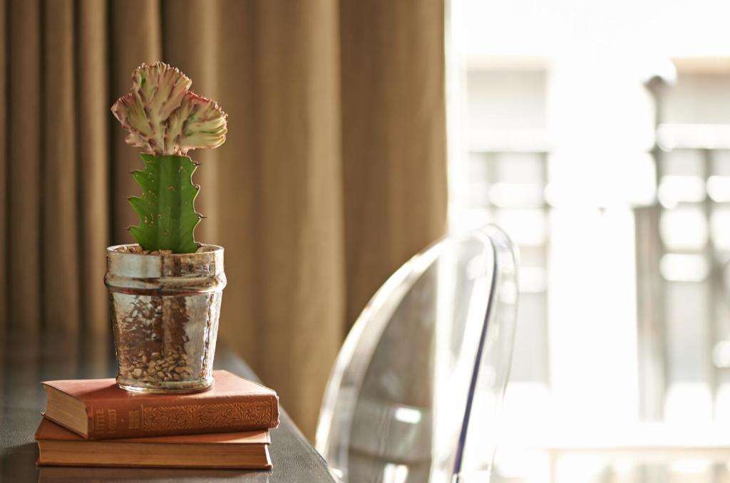 The Bull and The Hide - Resim 29