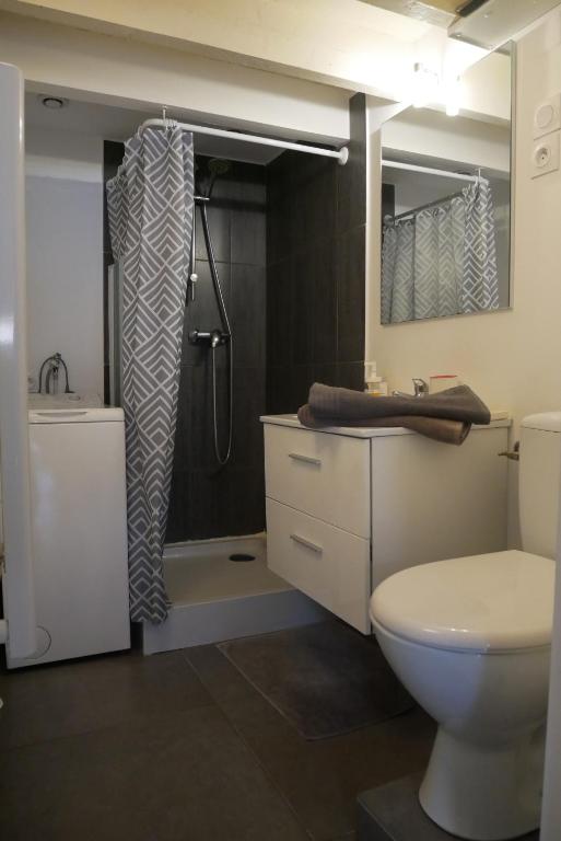 La salle de bains est pourvue d'une douche et de toilettes. dans l'établissement Studio du Pouverel, à La Garde