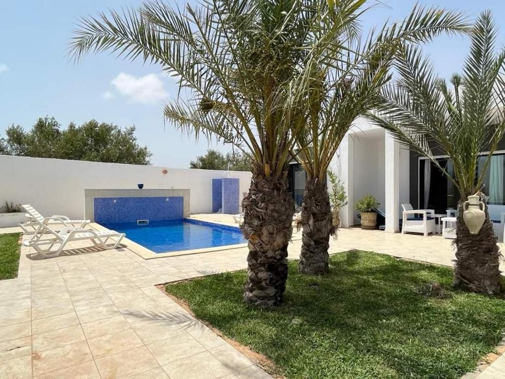 uma villa com uma piscina e duas palmeiras em Villa oasis em Arkou