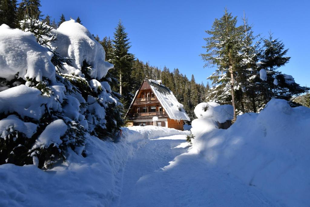 a house covered in snow next to a forest at Chata Repiská in Belá