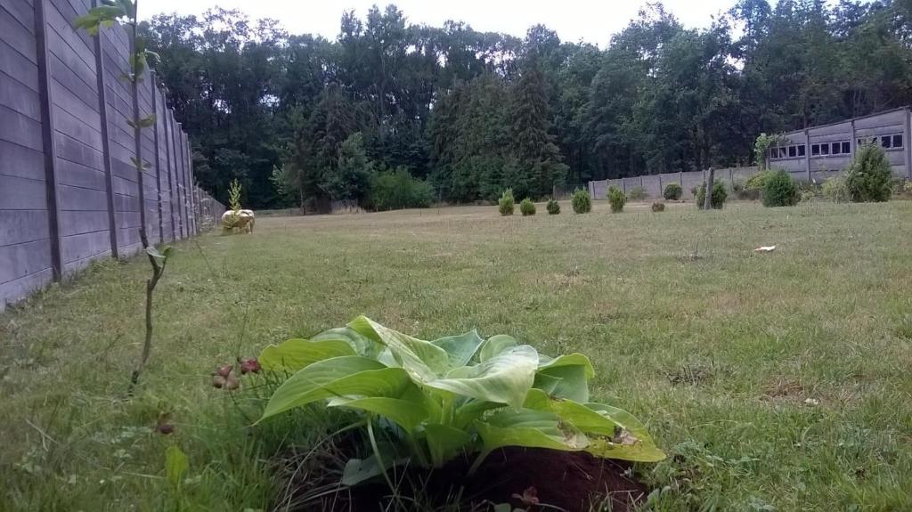 Zahrada ubytování Bvba Bacana