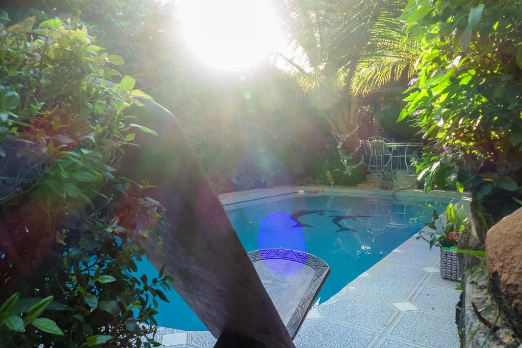 a swimming pool in the middle of a garden at Fabuleux Studio Petit Marrakech in Dakar