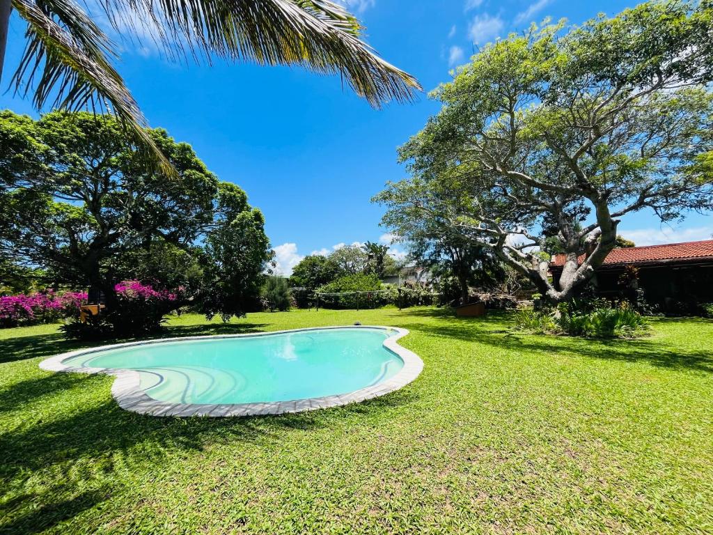 uma pequena piscina num quintal com uma palmeira em Twin House #1 em David