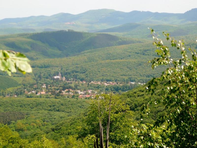 Příroda nedaleko apartmánu