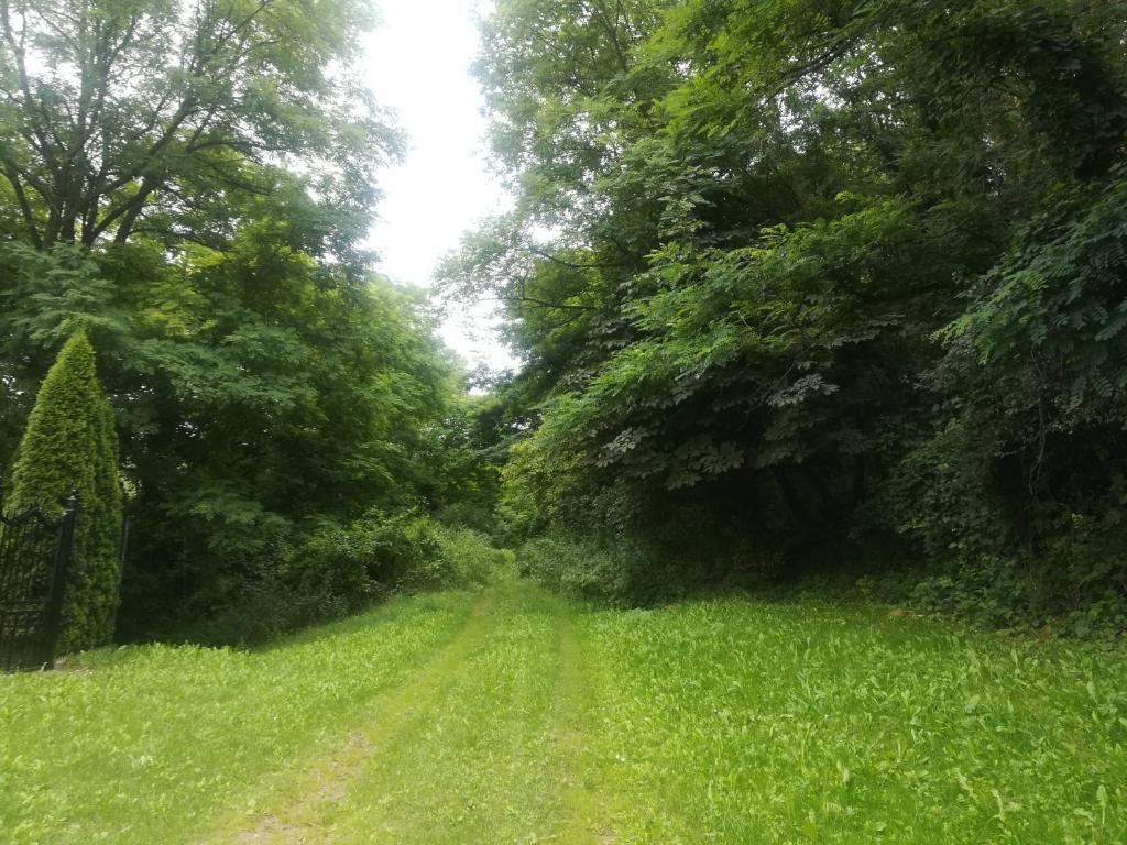 Příroda nedaleko apartmánu