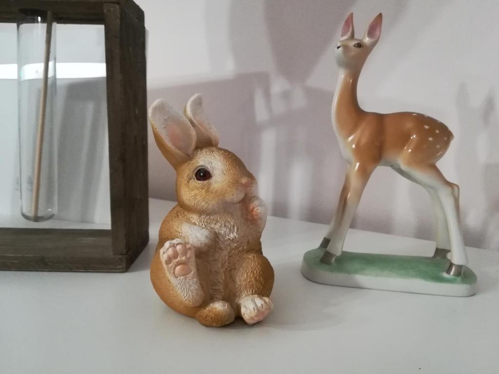 Zvířata v apartmánu nebo okolí
