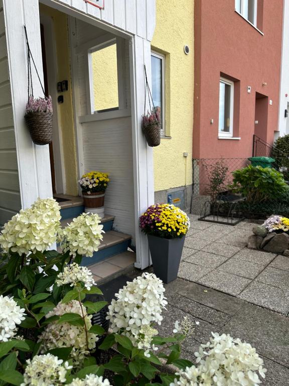 a group of flowers on the steps of a house at Family Home Green Paradise with Garden & free parking in Salzburg