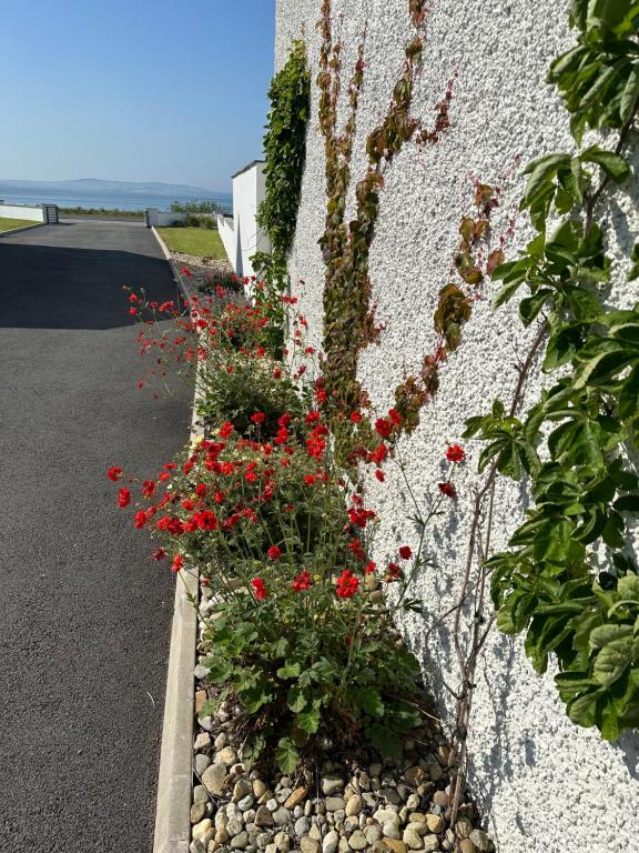 Zahrada ubytování Sea Vista - Rathmullan