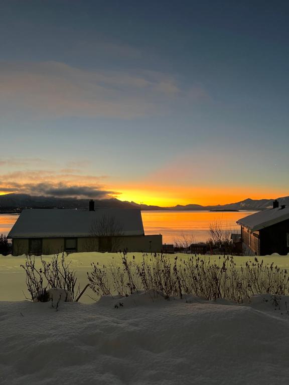 een zonsondergang boven een besneeuwd veld met een schuur en de oceaan bij Apartment with a unique view, center of Kvaløya in Tromsø