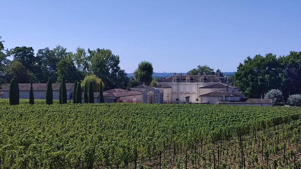 Ogród w obiekcie Maison Charmeilles - La suite Pomerol
