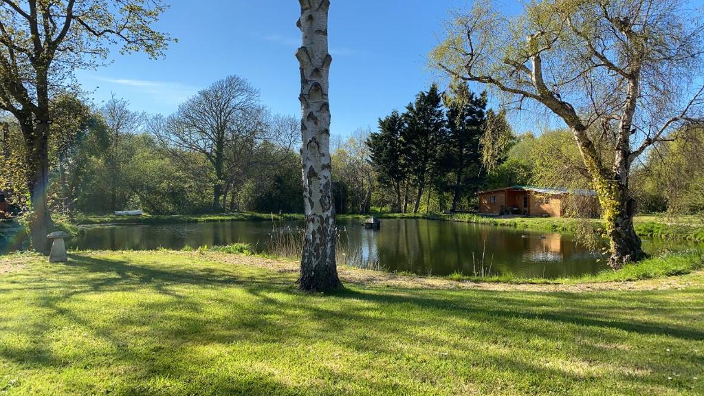 um parque com um lago e uma casa e árvores em Still Waters em Hill Head