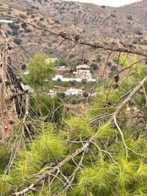 Fotografie z fotogalerie ubytování Finca Limoneros v destinaci Alora