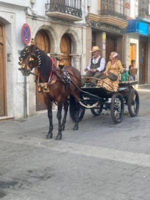 Fotografie z fotogalerie ubytování Finca Limoneros v destinaci Alora