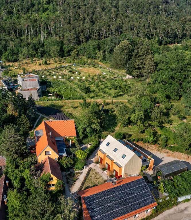 Příroda nedaleko hotelu