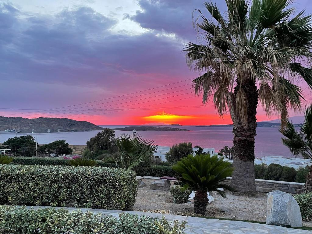 uma palmeira com um pôr-do-sol ao fundo em Playera Bungalow G sea view em Naousa