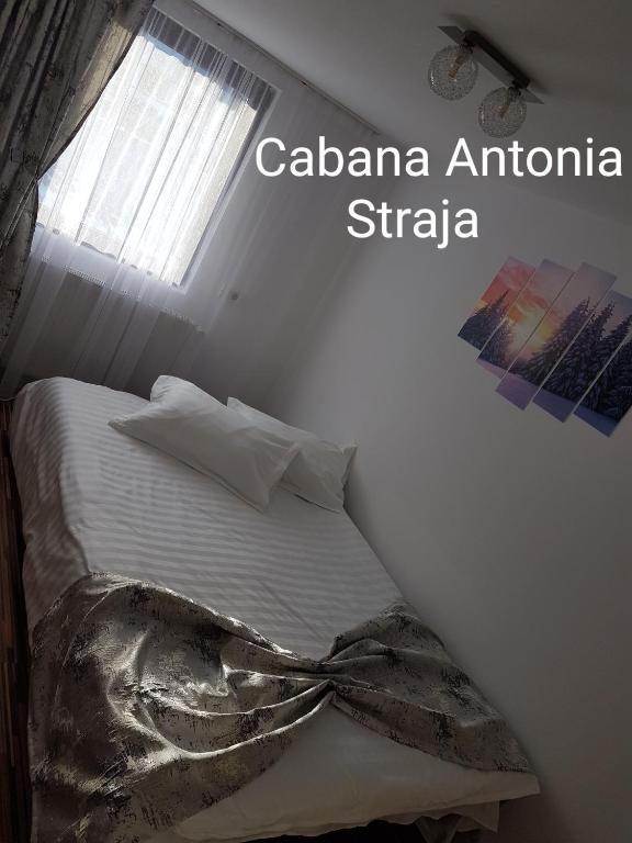 Postel nebo postele na pokoji v ubytování Cabana Antonia