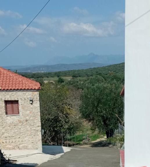 Příroda nedaleko prázdninového domu