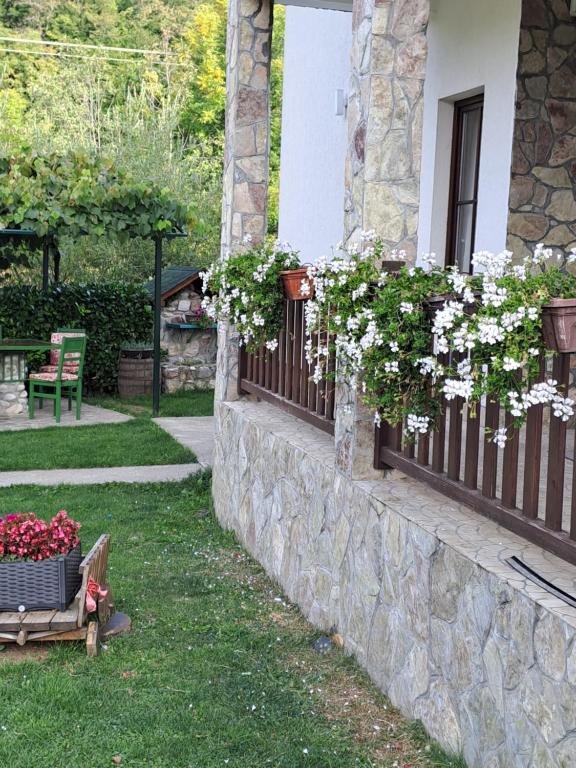 Zahrada ubytování Rooms and apartmants Mirovic