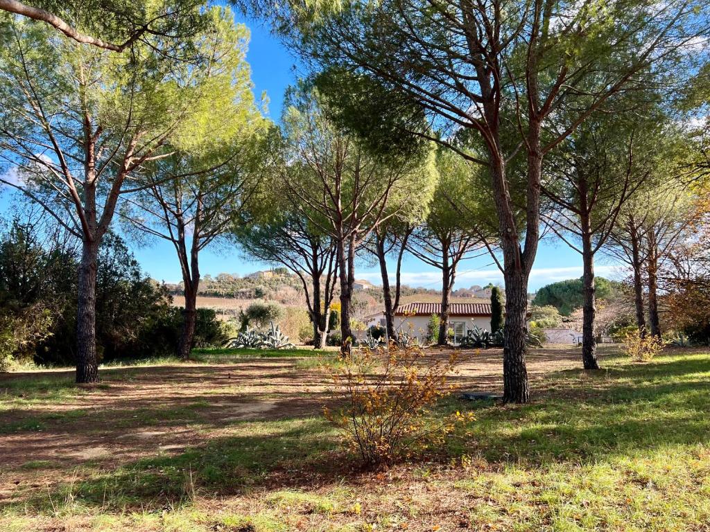 Au Bonheur Dezange - 18