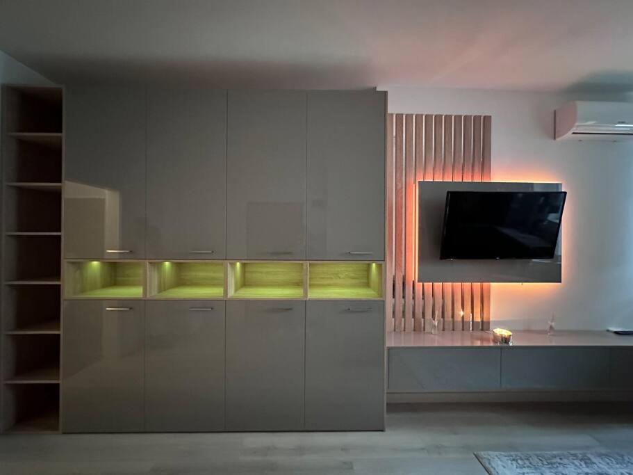 Μια τηλεόραση ή/και κέντρο ψυχαγωγίας στο Cozy 1 bedroom apartment