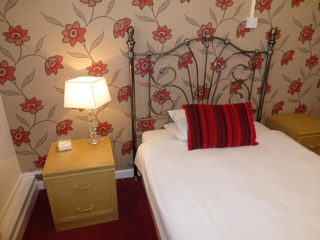 Maes Manor Country Hotel - Single Room