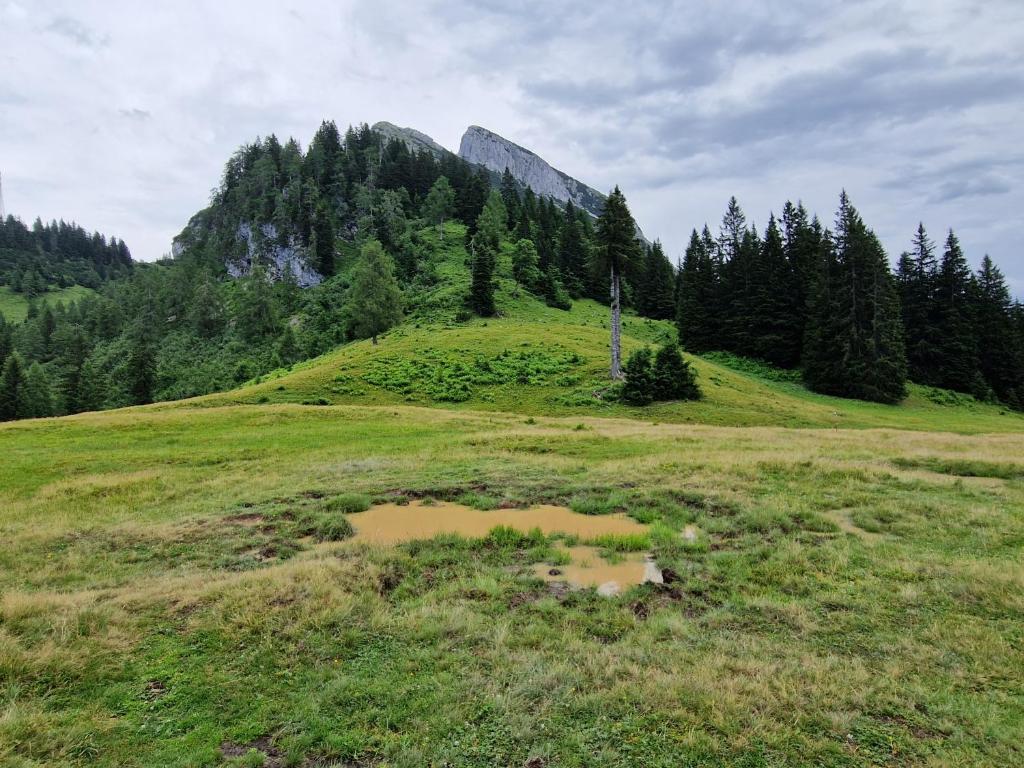 Příroda nedaleko apartmánu