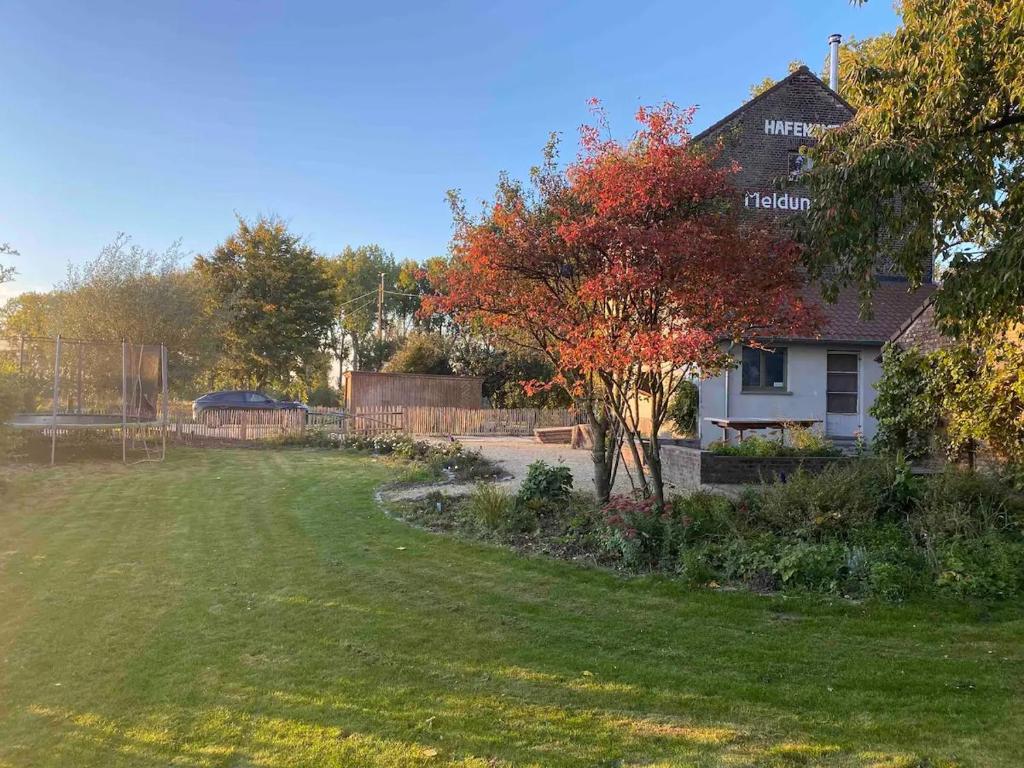 einen Hof mit einem Haus und einem Baum mit roten Blättern in der Unterkunft Huisje aan de Schelde in Spiere