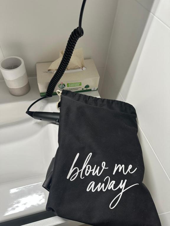 Magnificent apartment, Geneva Center, Geneva Lake - Resim 15