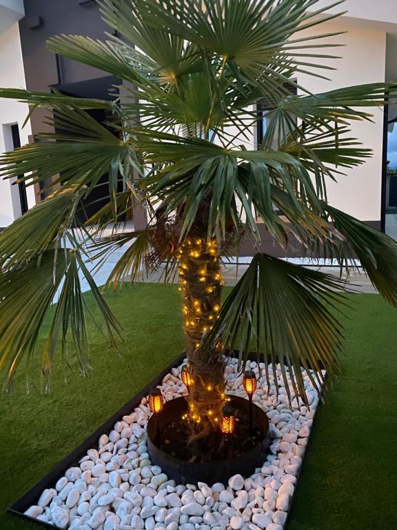 a palm tree in a bowl with lights on it at La Palmera del Sotillo in La Lastrilla