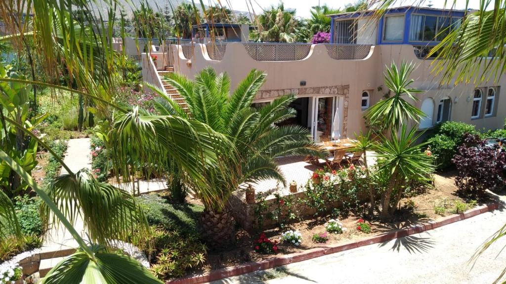 z góry widok na dom z palmami i roślinami w obiekcie Beach Villa w mieście Tiznit