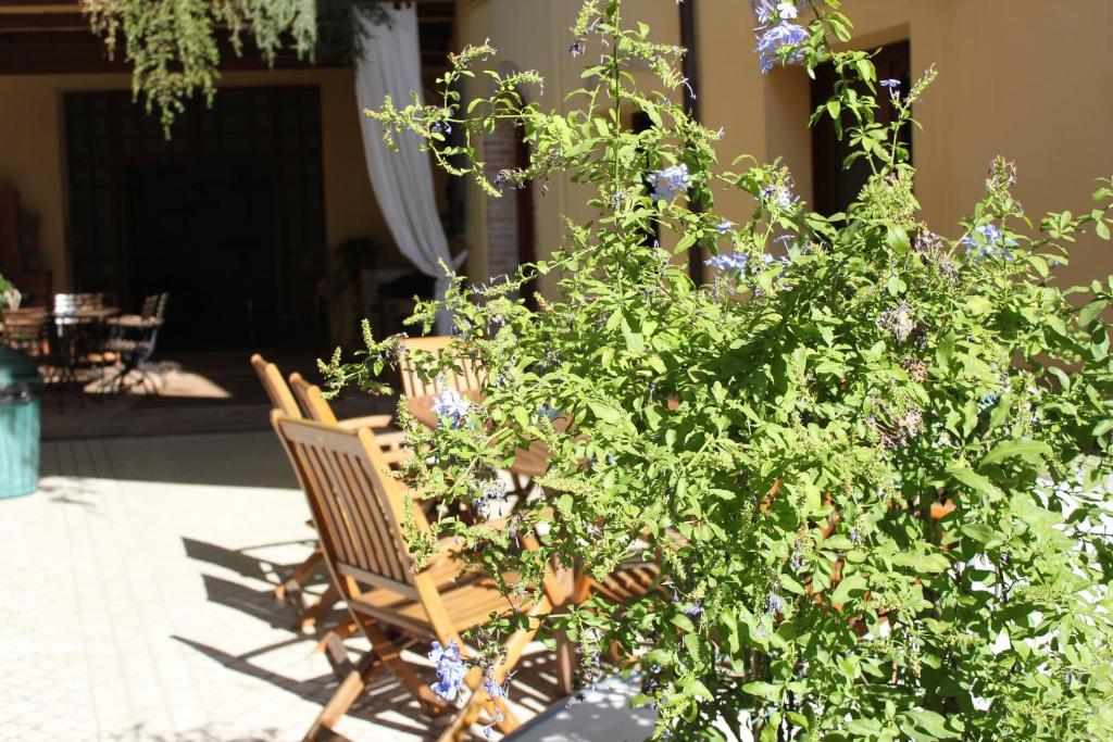 Сад в B&B Al Borgo