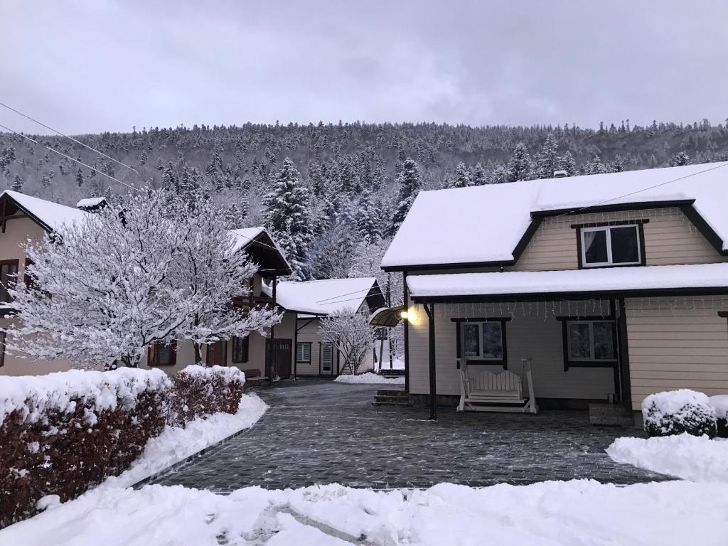 ein schneebedecktes Haus mit Auffahrt in der Unterkunft Karpatske Vidlunnya in Mykulytschyn