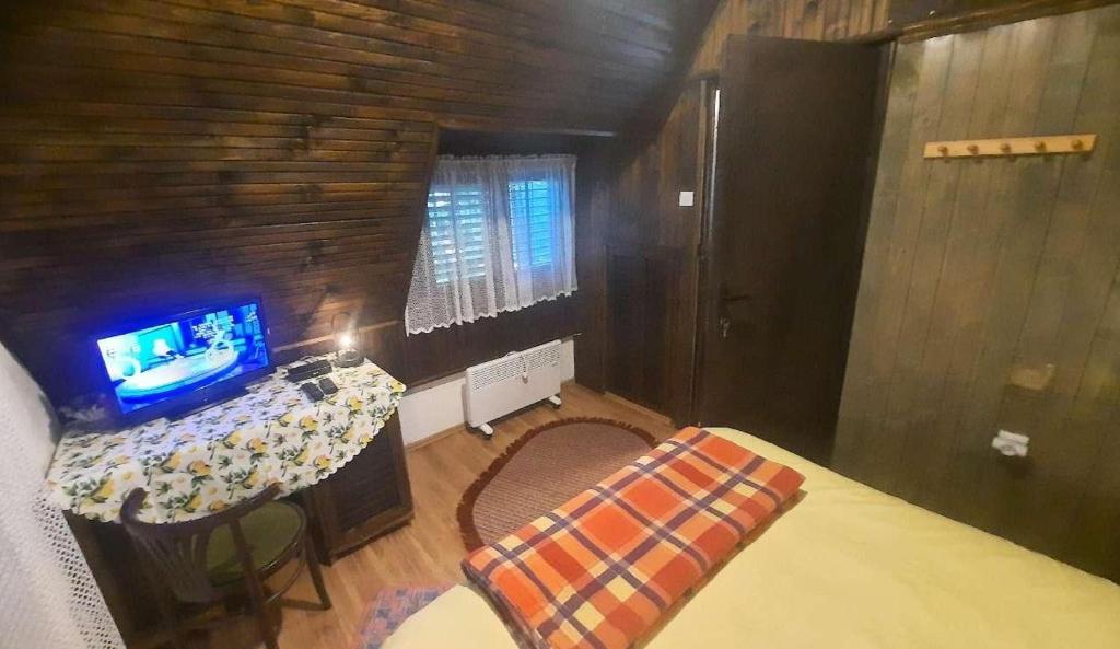TV a/nebo společenská místnost v ubytování Šumska kuća Atina - Devojački Bunar