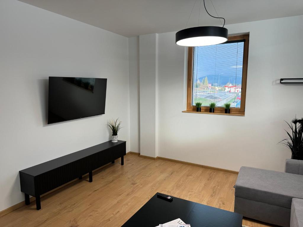 TV a/nebo společenská místnost v ubytování Apartmány Kamenec