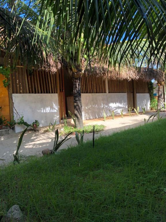 a palm tree in the grass next to a building at Beach Chalet Preá in Prea