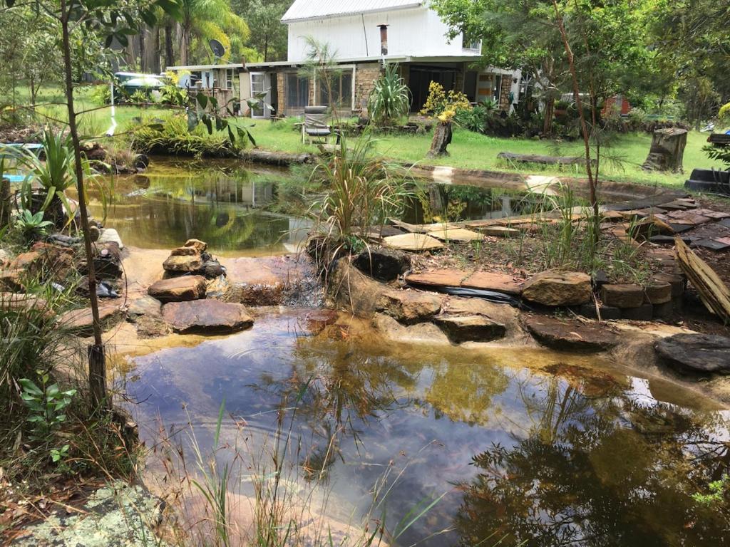 a pond in the backyard of a house at Yamba Hinterland bush retreat - Vintage bus stay in Dilkoon
