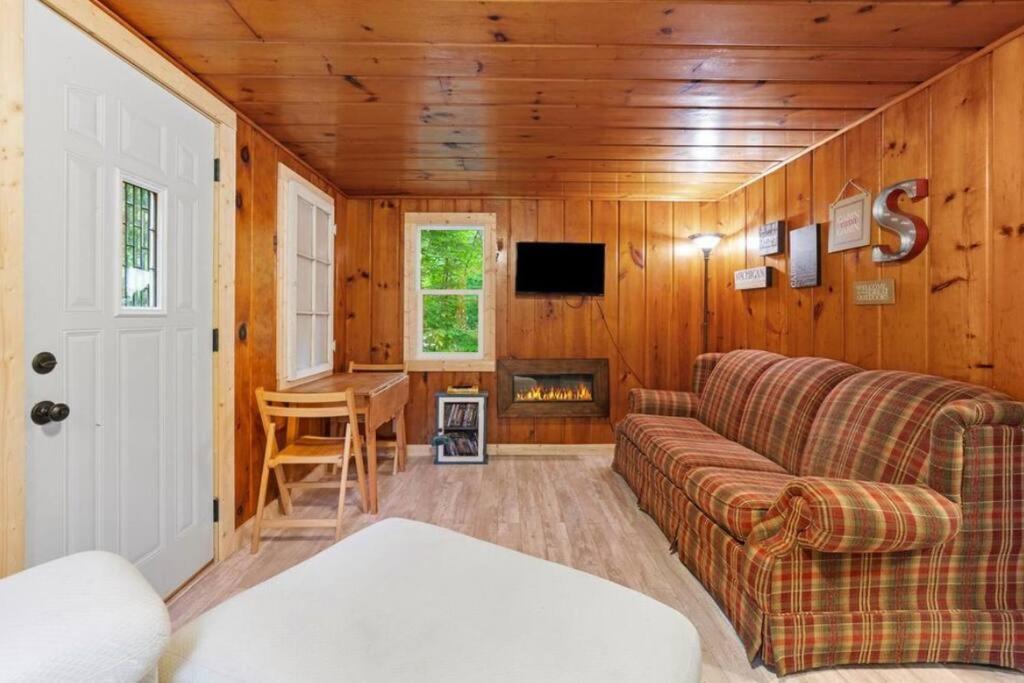 a living room with a couch and a fireplace at Paradise Lake Hidden Gem in Carp Lake