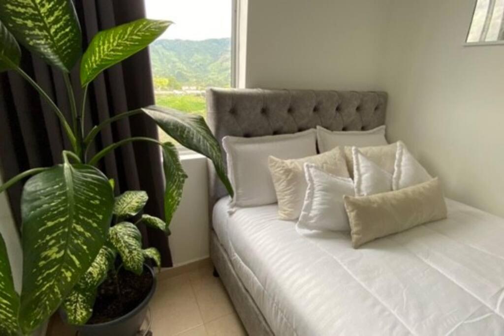 1 cama con almohadas blancas y una planta junto a una ventana en Buscas hospedarte en el Quindío, en Armenia