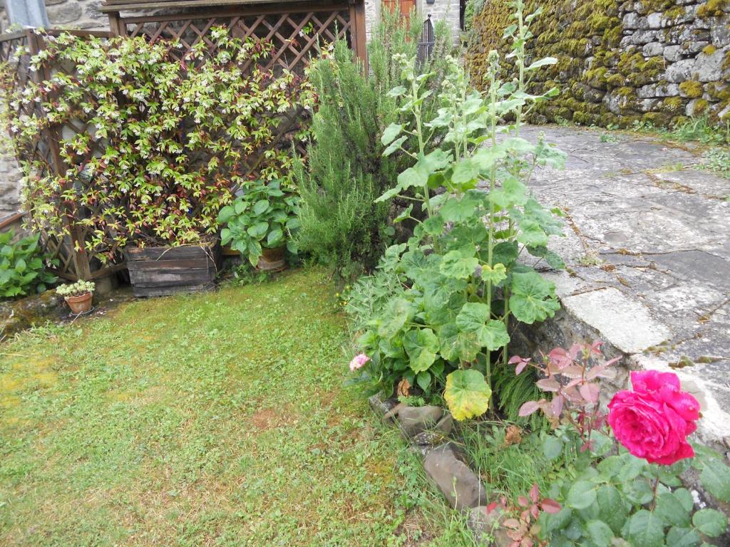 Zahrada ubytování Casa Vacanze Le Antiche Pietre