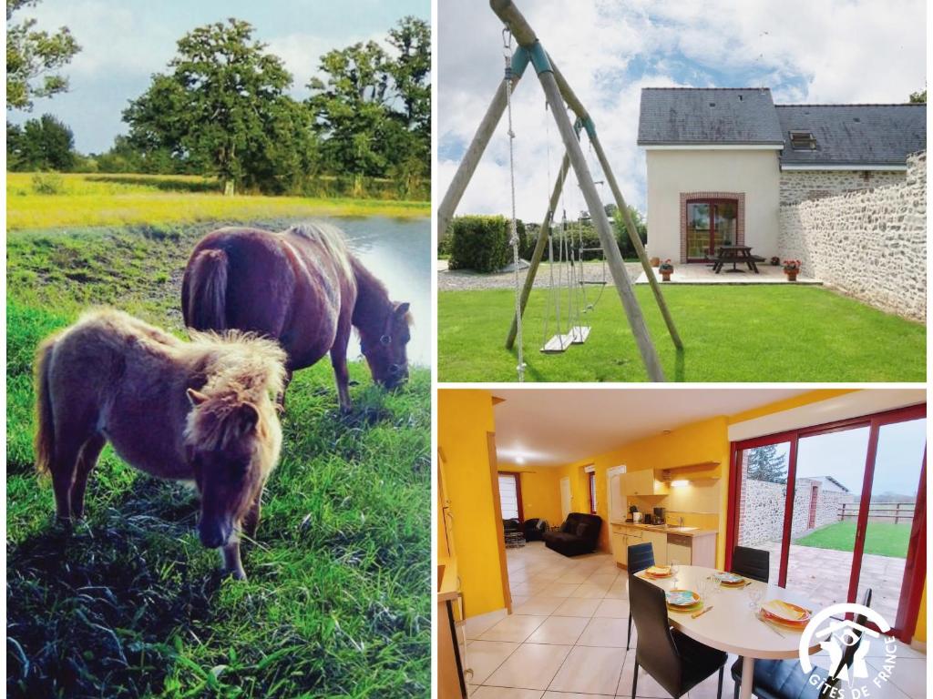 a collage of pictures of a horse and a house at Gîte La Chapelle-Anthenaise, 3 pièces, 5 personnes - FR-1-600-79 