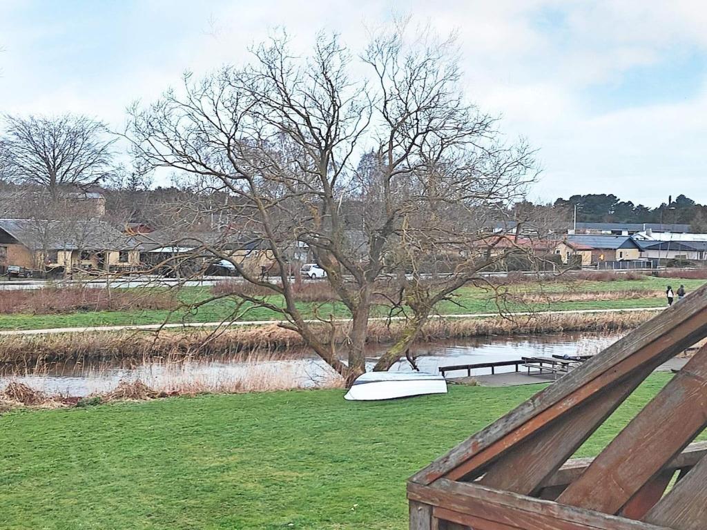 un albero seduto sull'erba vicino a un fiume di Holiday home Grenaa XXXVIII a Grenå