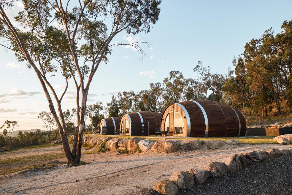 a group of three domes in a field with trees at Barrel View Luxury Cabins in Ballandean