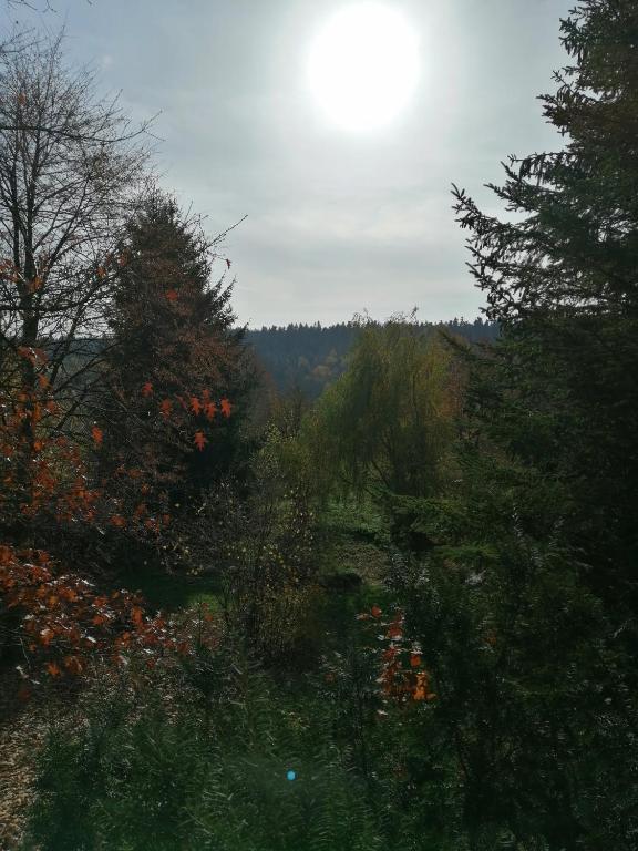 Příroda nedaleko hotelu