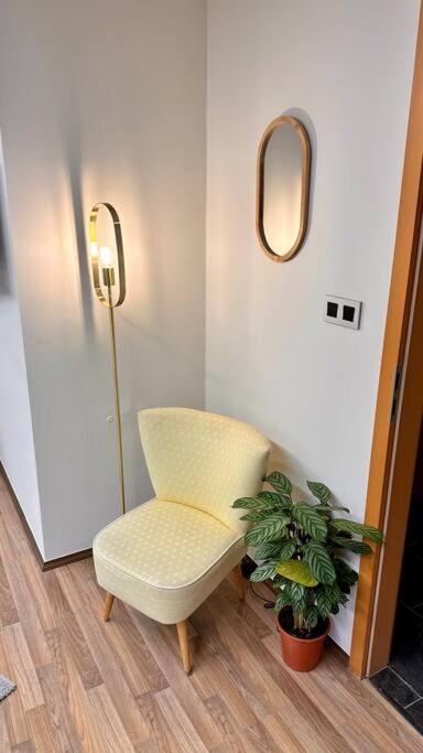 a room with a chair and a potted plant at Le studio Héloïse - BeCosy rentals - 2 ad + 1 enf in Péruwelz