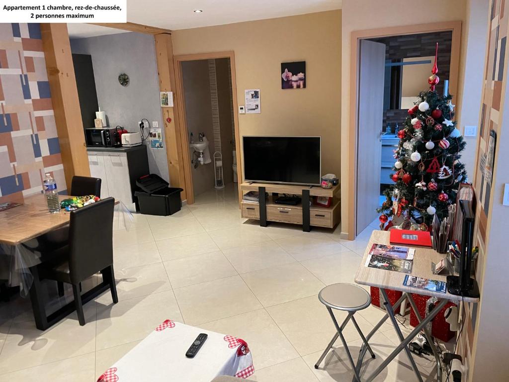 Appartements centre ville Colmar 4 familles – photo 26