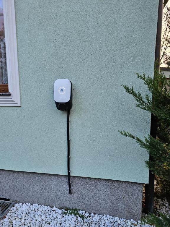 Gartenpension Prosl - 6