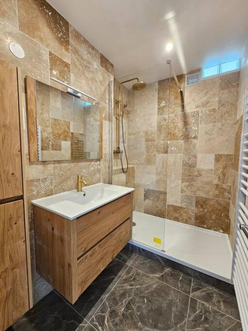 a bathroom with a sink and a shower at Charmant appartement proche Paris in Épinay-sur-Seine